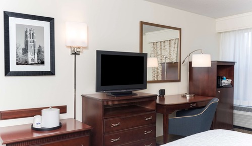 Habitación, 1 cama de matrimonio grande con sofá cama, frigorífico