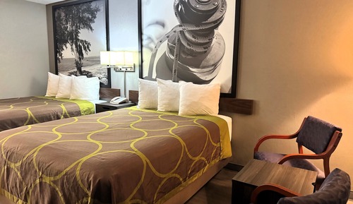 Habitación estándar, 2 camas de matrimonio, frigorífico