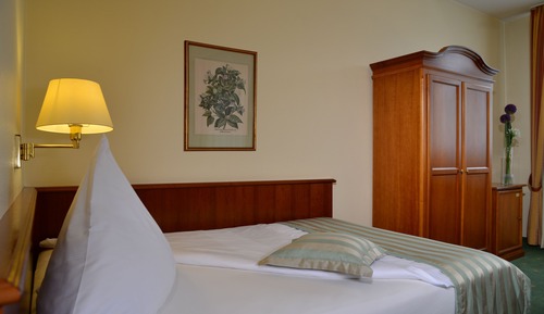 Habitación individual superior