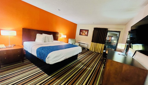 Suite estudio ejecutiva, 1 cama de matrimonio grande, no fumadores (One-Bedroom)