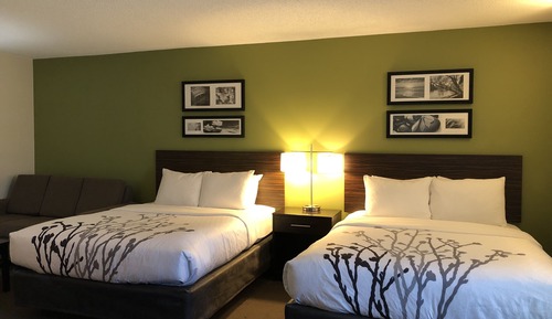 Habitación estándar, 2 camas dobles, no fumadores (Pet Friendly)