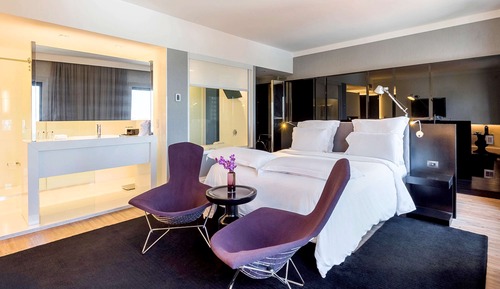 Suite ejecutiva, 1 cama de matrimonio, vistas al parque