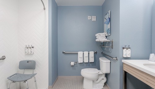 Habitación estándar, 1 cama de matrimonio grande, ducha adaptada (Mobility)