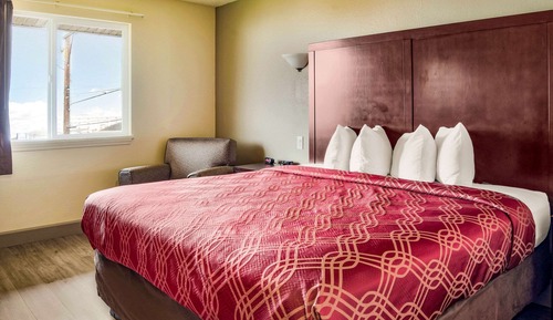 Habitación estándar, 1 cama de matrimonio grande, no fumadores