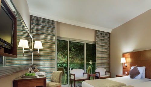 Habitación estándar, vistas al jardín