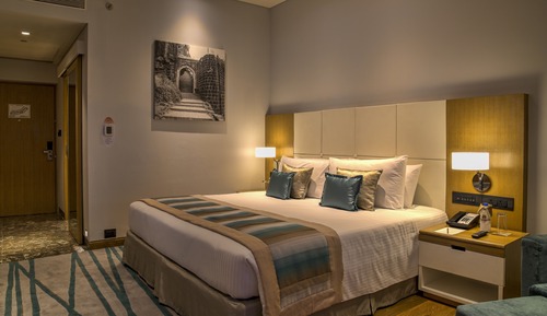 Habitación ejecutiva, 1 cama de matrimonio grande