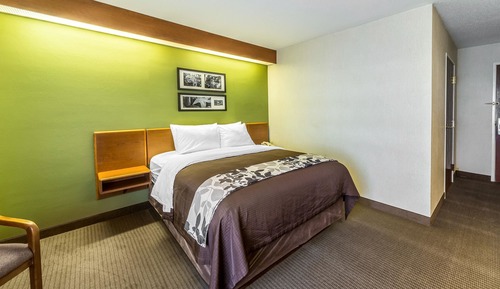 Suite, 1 cama de matrimonio grande con sofá cama, no fumadores
