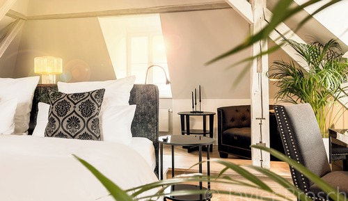 Suite estudio