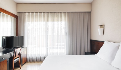 Suite junior, 1 cama doble con sofá cama, terraza (3)