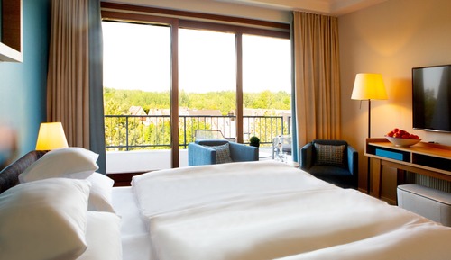 Habitación doble, vistas al jardín