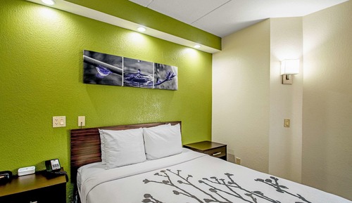 Habitación estándar, 1 cama de matrimonio, accesible para personas con discapacidad, no fumadores