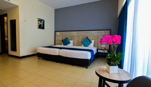 Habitación Deluxe, vistas a la colina