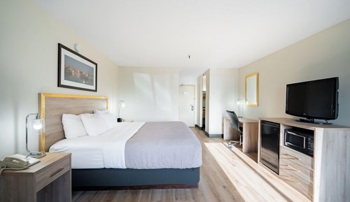Habitación estándar, 1 cama de matrimonio grande