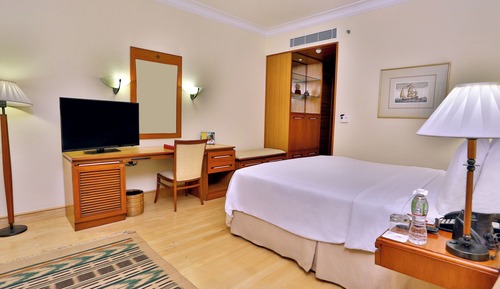 Suite estudio familiar