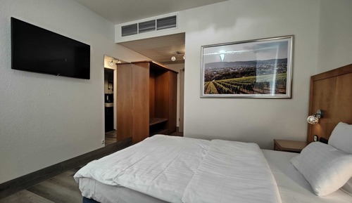 Habitación estándar, 1 cama individual