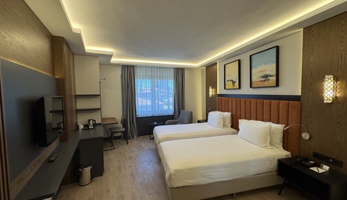 Habitación Deluxe con 1 cama doble o 2 individuales