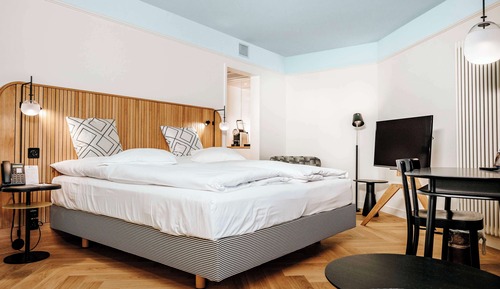 Habitación Deluxe, 1 cama doble, frigorífico (with Sofabed)