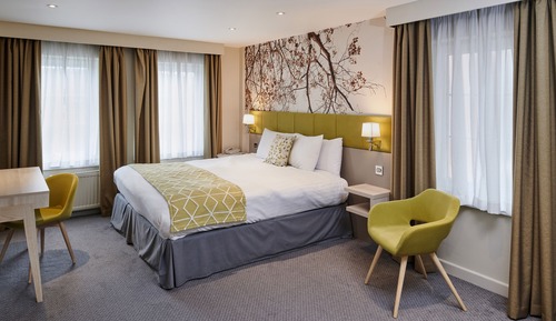 Suite, 1 cama de matrimonio grande