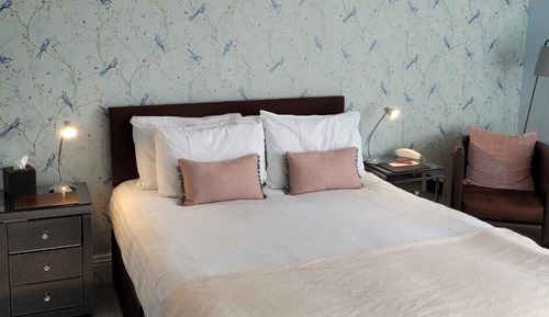 Habitación económica doble, 1 cama doble
