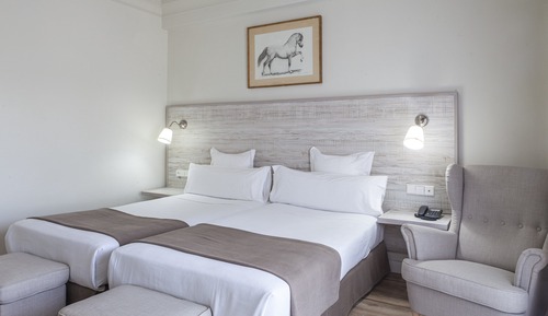Habitación individual estándar