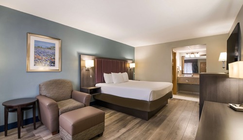 Habitación estándar, 1 cama de matrimonio grande, no fumadores, bañera de hidromasaje