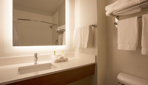 Habitación, 1 cama de matrimonio grande, accesible para personas con discapacidad (Roll-In Shower)