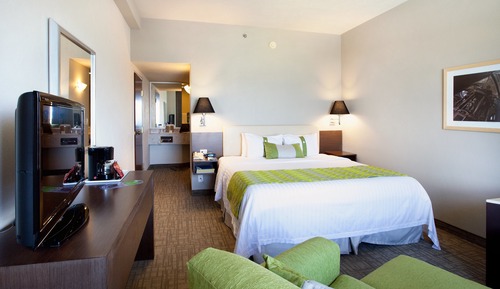 Suite, 1 cama de matrimonio grande