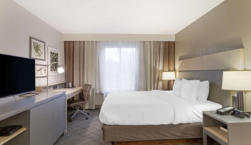 Habitación estándar, 1 cama de matrimonio grande, no fumadores