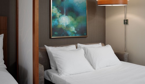 Habitación, 1 cama de matrimonio grande con sofá cama