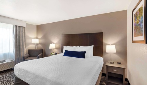 Habitación estándar, 1 cama de matrimonio grande, no fumadores, microondas