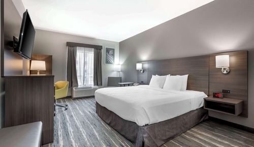Habitación estándar, 1 cama de matrimonio grande, no fumadores