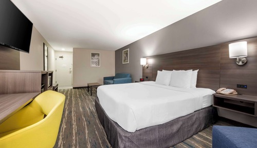 Habitación estándar, 1 cama de matrimonio grande, no fumadores, frigorífico y microondas