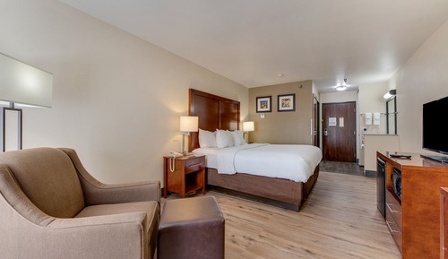 Habitación estándar, 1 cama de matrimonio grande, no fumadores
