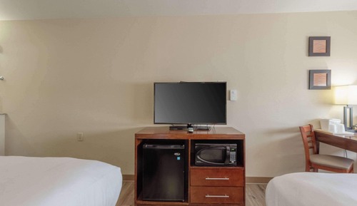 Habitación estándar, 2 camas de matrimonio, no fumadores (Pet-Friendly)