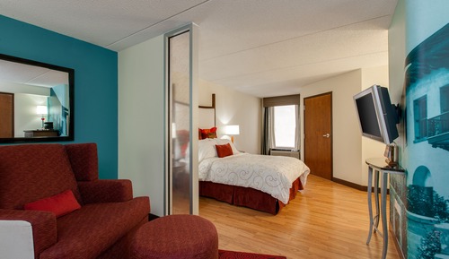Habitación estándar, 1 cama de matrimonio grande con sofá cama