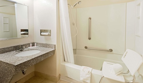 Habitación, 1 cama de matrimonio, accesible para personas con discapacidad, no fumadores (Bathtub)