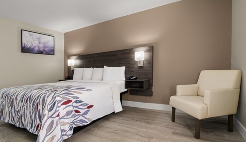 Habitación Deluxe, 1 cama de matrimonio grande, accesible para personas con discapacidad