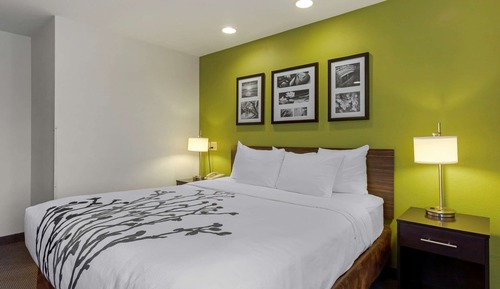 Habitación, 1 cama de matrimonio grande, accesible para personas con discapacidad, no fumadores
