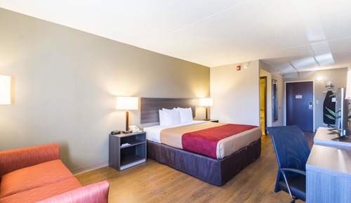 Habitación estándar, 1 cama de matrimonio grande, no fumadores