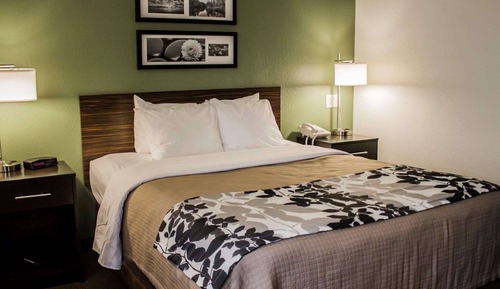Habitación estándar, 1 cama de matrimonio, accesible para personas con discapacidad, no fumadores