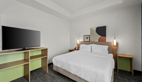 Studio, 1 King Bed with Sofa