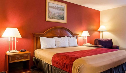 Habitación estándar, 1 cama de matrimonio grande, fumadores