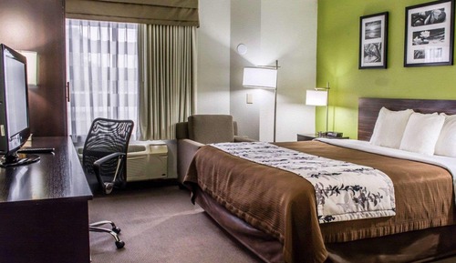 Habitación, 1 cama de matrimonio grande, accesible para personas con discapacidad, no fumadores