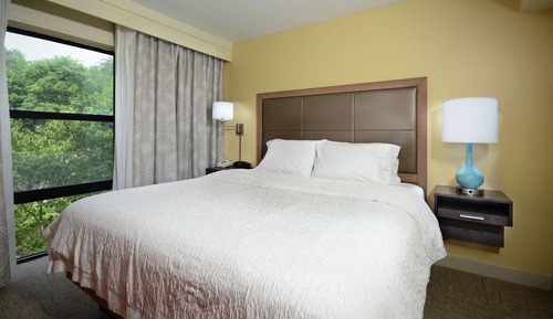 Suite, 1 cama de matrimonio grande, no fumadores (Shower Only)