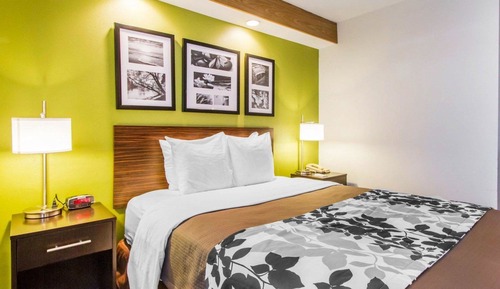 Habitación estándar, 1 cama de matrimonio, no fumadores