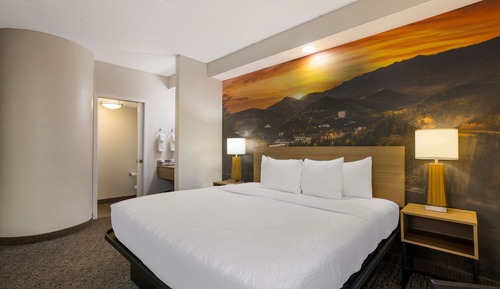 Habitación estándar, 1 cama de matrimonio grande, no fumadores