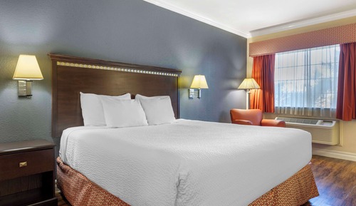 Habitación estándar, 1 cama de matrimonio grande, no fumadores, frigorífico y microondas