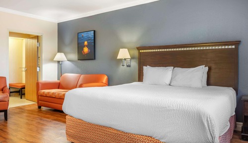Habitación estándar, 1 cama de matrimonio grande, accesible para personas con discapacidad, bañera