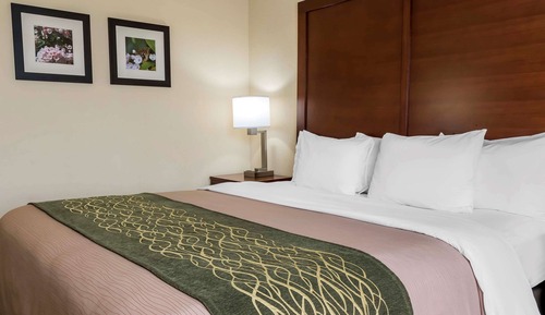 Habitación, 1 cama de matrimonio grande, accesible para personas con discapacidad, no fumadores