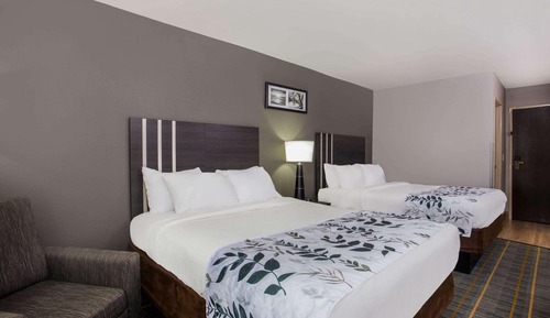 Habitación estándar, 2 camas de matrimonio